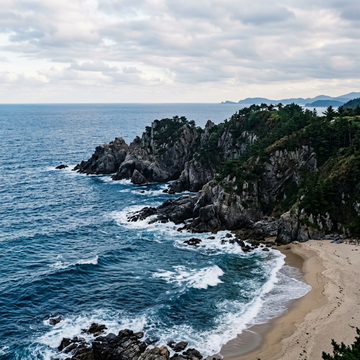 East Sea Marine Cleanup